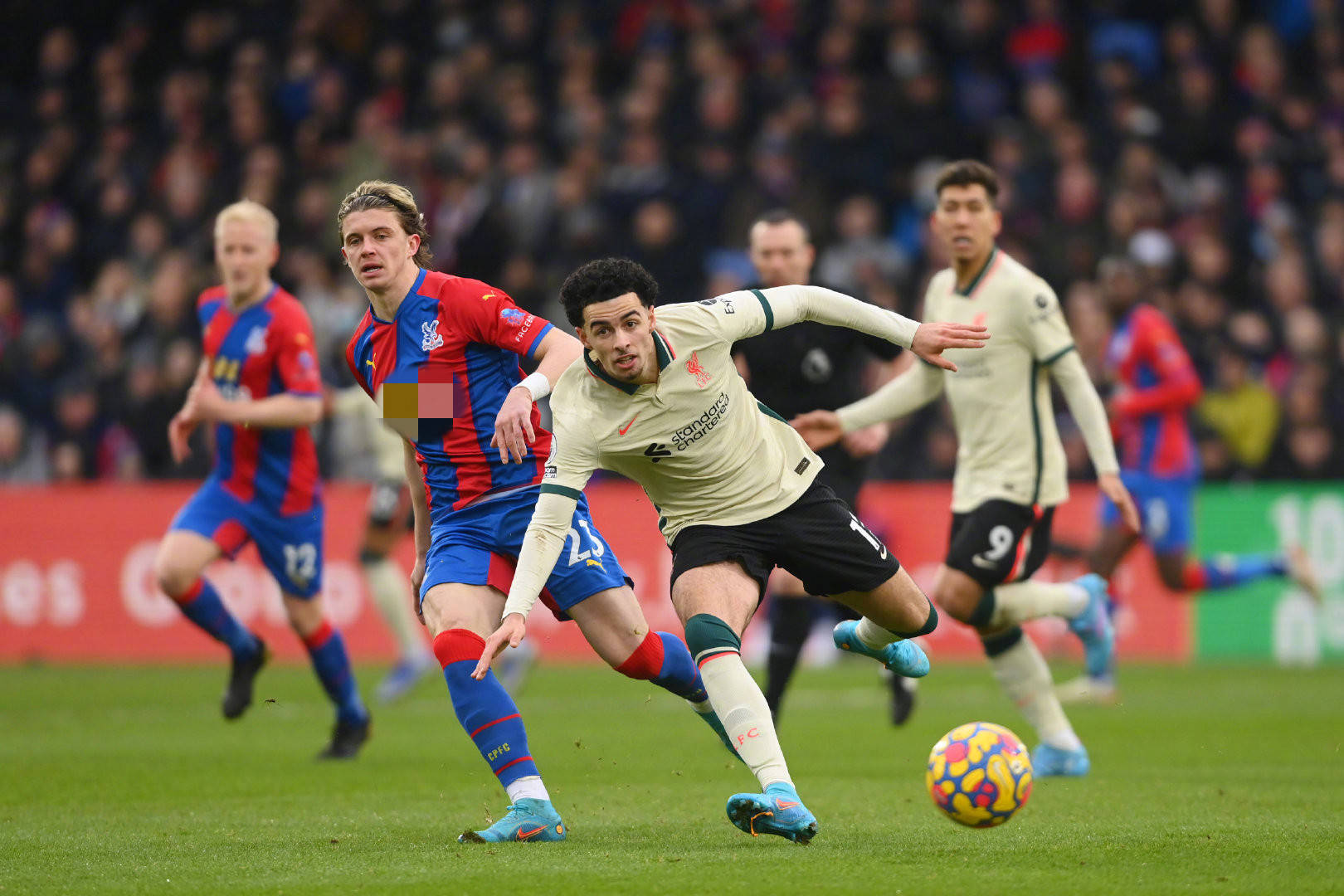 走下悬崖 走下悬崖